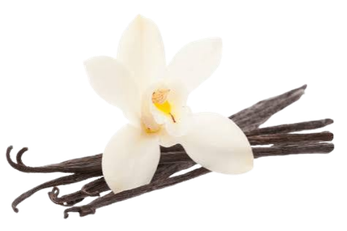 Flor e favas de baunilha